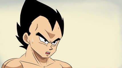 VEGETA & BULMA